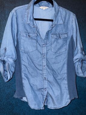 Cavallini Chambray Button-Up Shirt with Dark Stretchy Side Panels